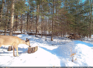 Hunting in New York - Top 5 Spots