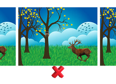 4 Essential Tips to Avoid Trail Camera False Triggers
