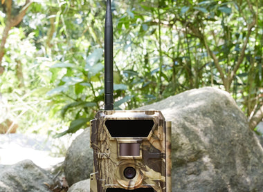 Top 5 Reasons to Choose A Cellular Trail Camera