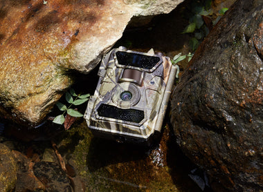 WingHome Tips: TOP 3 Trail Camera Tactics You Should Know