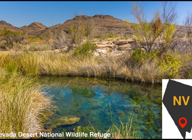 Hunting in Nevada - Top 5 Spots