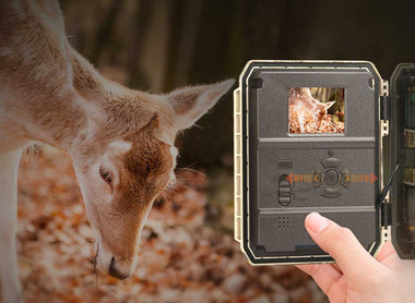 The Best Trail Camera under $100 - WingHome 350C