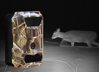 WingHome Trail Camera Giveaway Contest Terms and Conditions