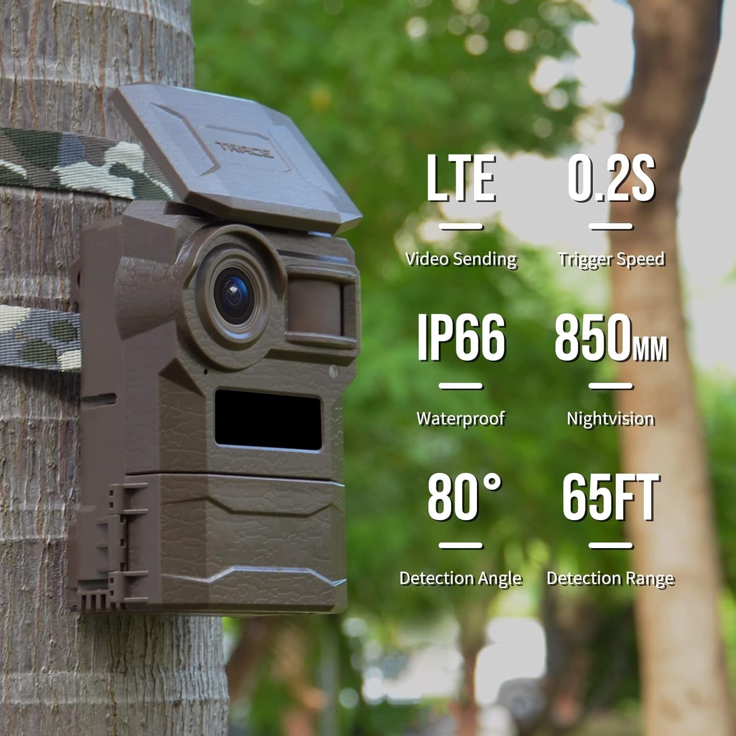 WIngHome Trace Trail Camera