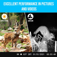 WIngHome Trace Trail Camera