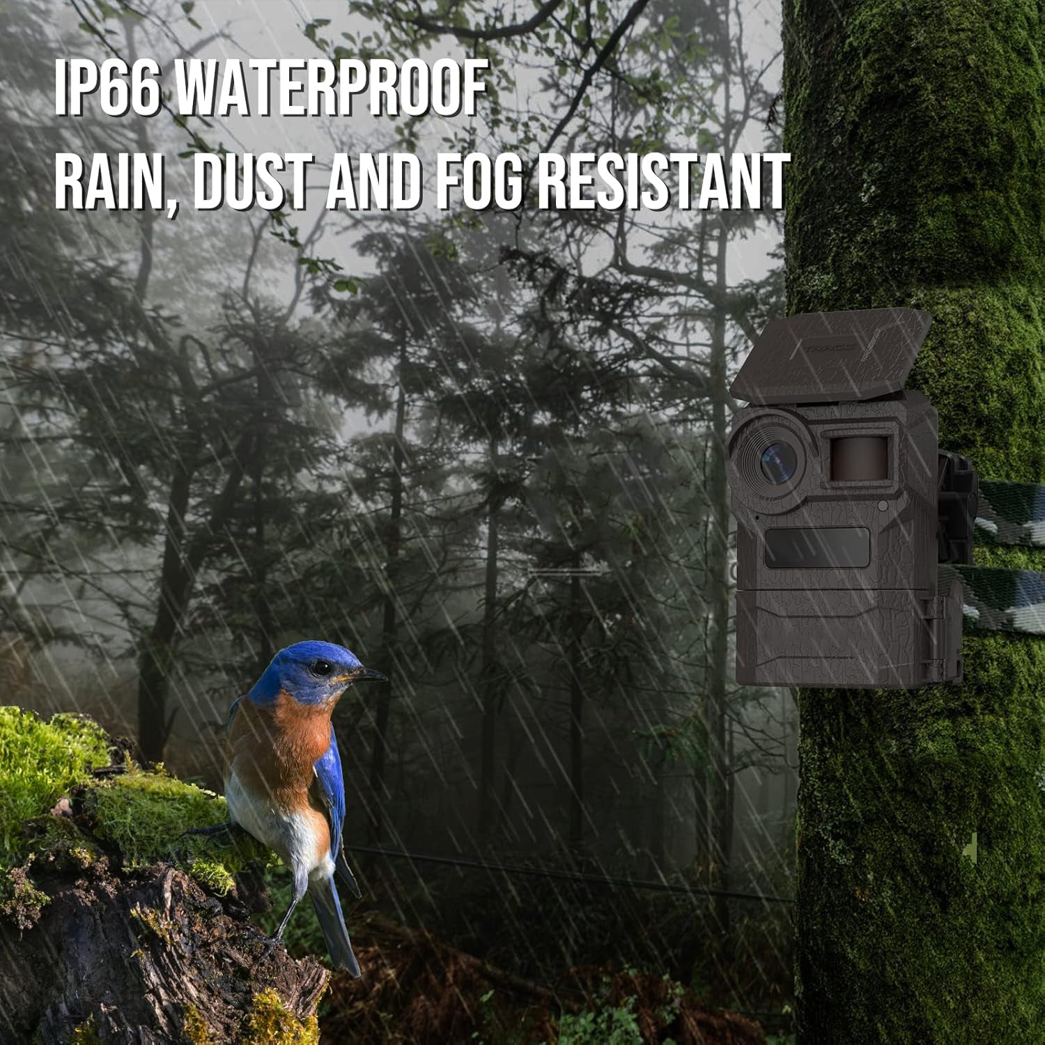 WIngHome Trace Trail Camera