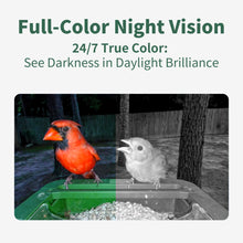Load image into Gallery viewer, Hibird Smart Bird Feeder with Camera