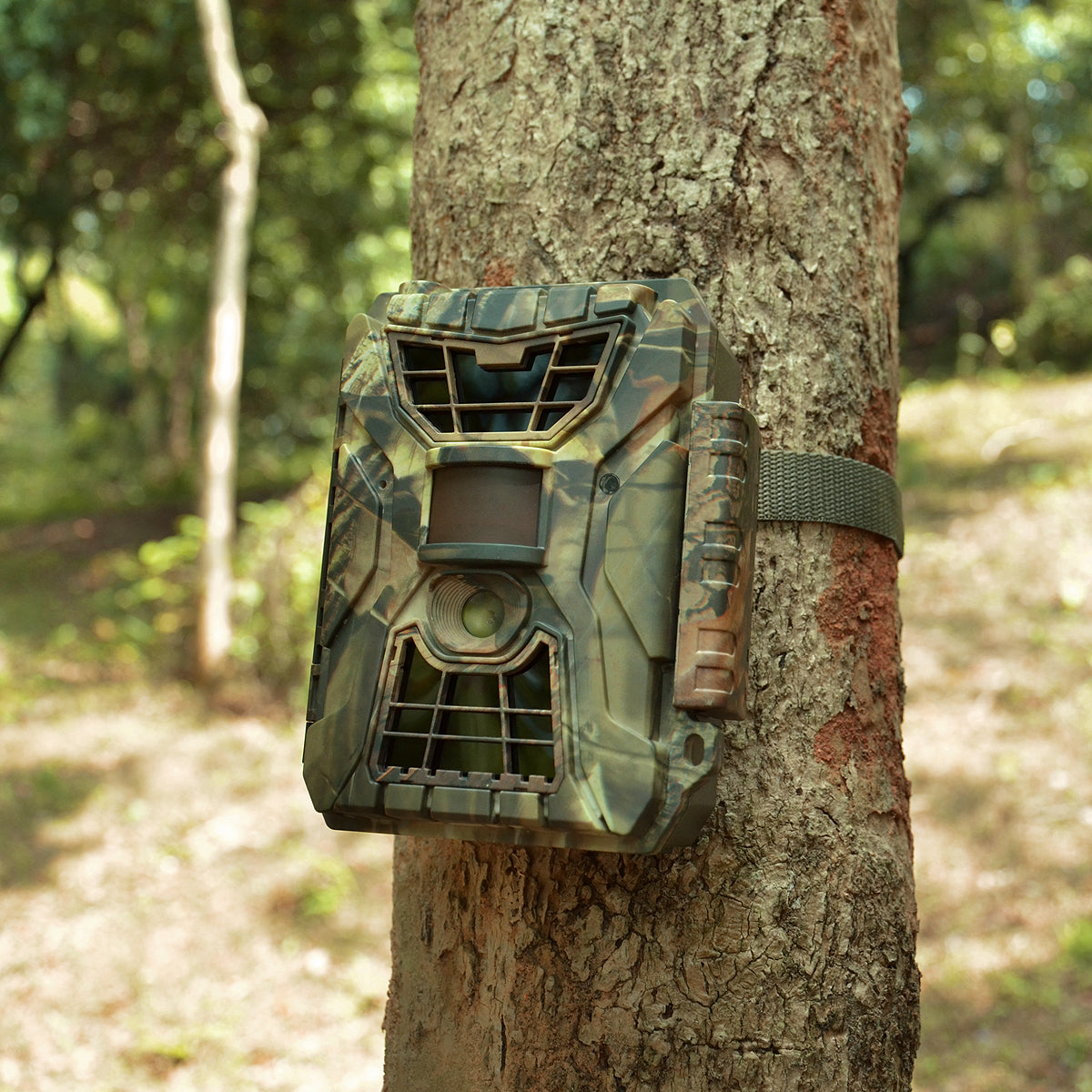 How to Mount Your WingHome Trail Camera? – Winghome Trail Camera