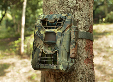 How to Mount Your WingHome Trail Camera?