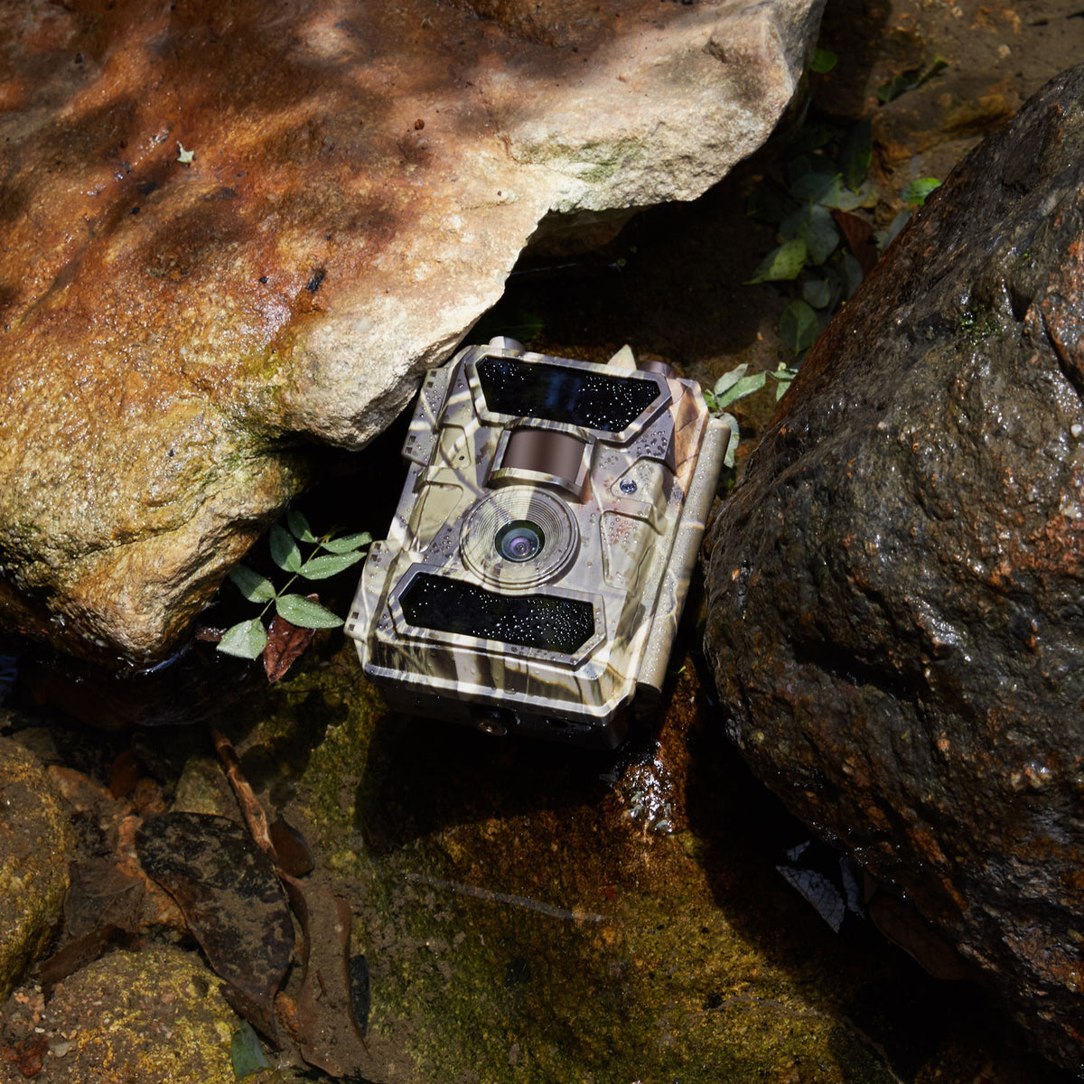 WingHome Tips: TOP 3 Trail Camera Tactics You Should Know – Winghome ...