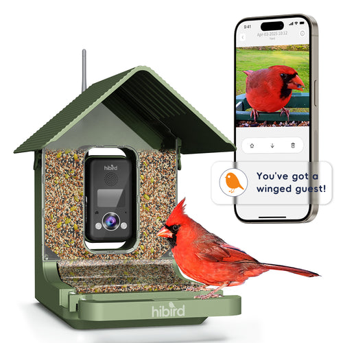 4K HD Bird Watching Camera with Feeder, 2.4G/5G WiFi, Live Streaming, AI Recognition, and Two-Way Audio for Enhanced Wildlife Observation & Monitoring and Bird Lovers