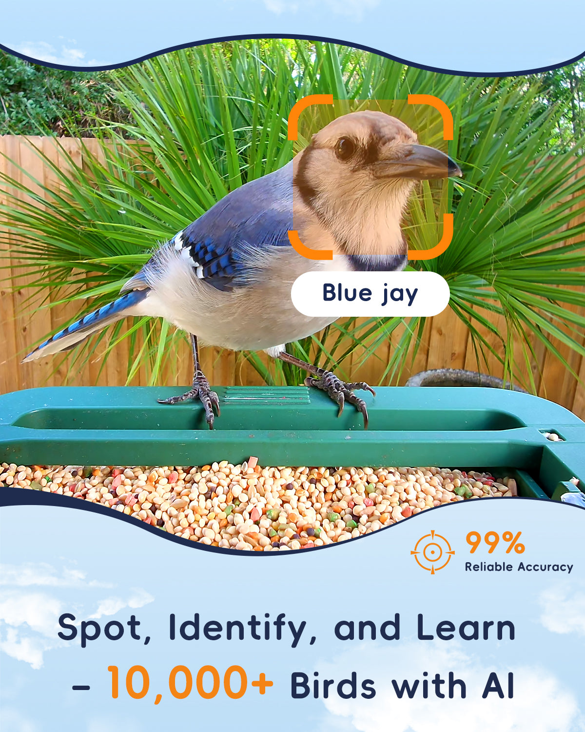 4K HD Bird Watching Camera with Feeder, 2.4G/5G WiFi, Live Streaming, AI Recognition, and Two-Way Audio for Enhanced Wildlife Observation & Monitoring and Bird Lovers