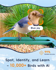 4K HD Bird Watching Camera with Feeder, 2.4G/5G WiFi, Live Streaming, AI Recognition, and Two-Way Audio for Enhanced Wildlife Observation & Monitoring and Bird Lovers