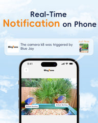 4K HD Bird Watching Camera with Feeder, 2.4G/5G WiFi, Live Streaming, AI Recognition, and Two-Way Audio for Enhanced Wildlife Observation & Monitoring and Bird Lovers