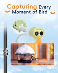5G Bird Watching Camera, Hibird Smart AI Identify and Auto Capture 10000+ Bird Species IP66 Mini Wireless Watching Camera with Solar Panel, Ideal Gift for Birds Lover