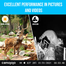 Load image into Gallery viewer, Camojojo Trace Trail Camera
