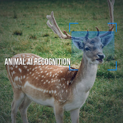 Camojojo Trace Trail Camera