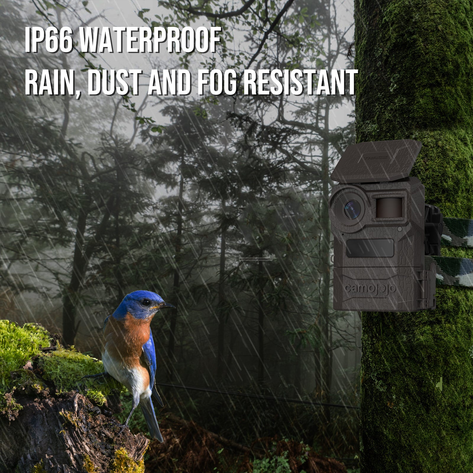 Camojojo Trace Trail Camera