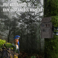 Camojojo Trace Trail Camera