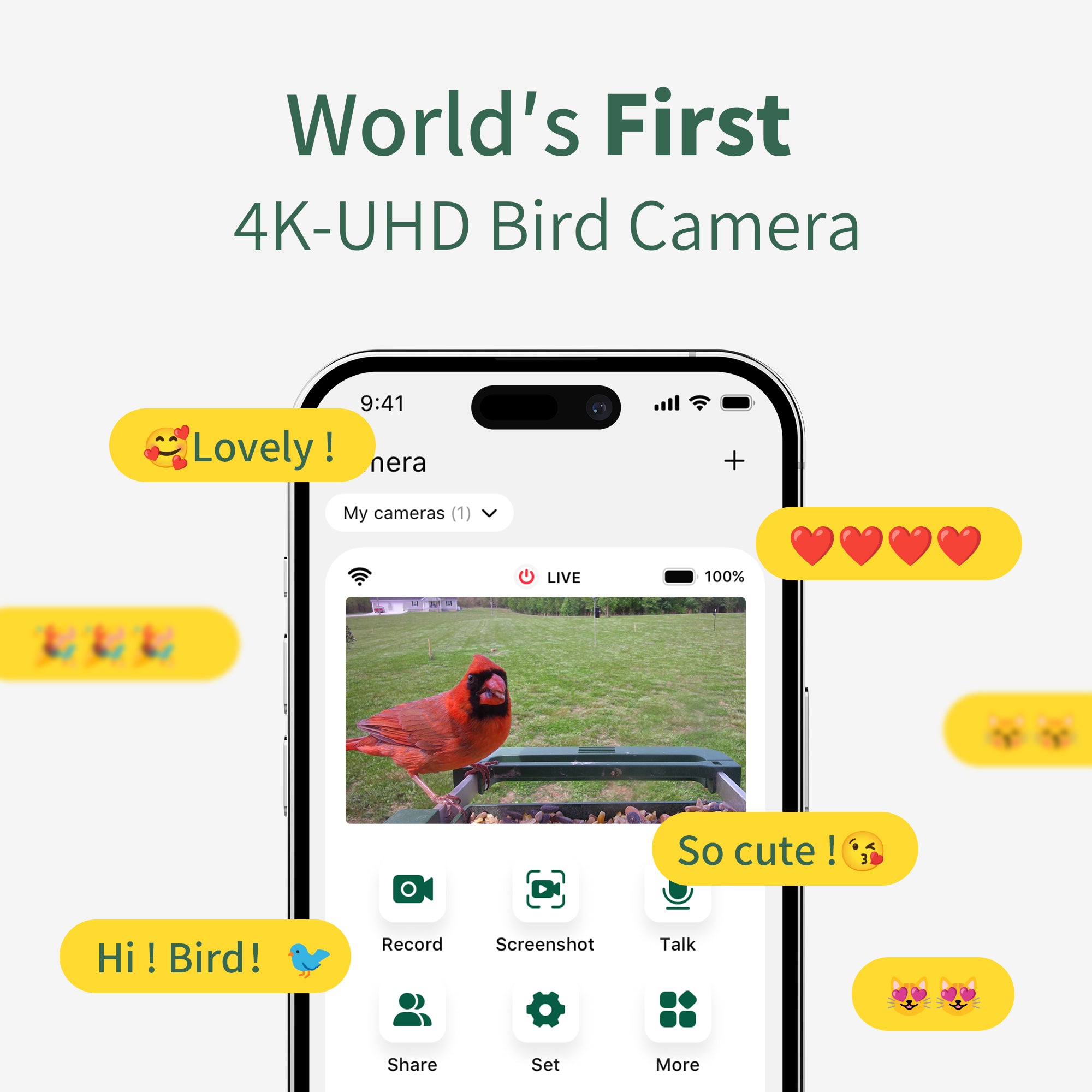 Hibird Smart Bird Feeder with Camera