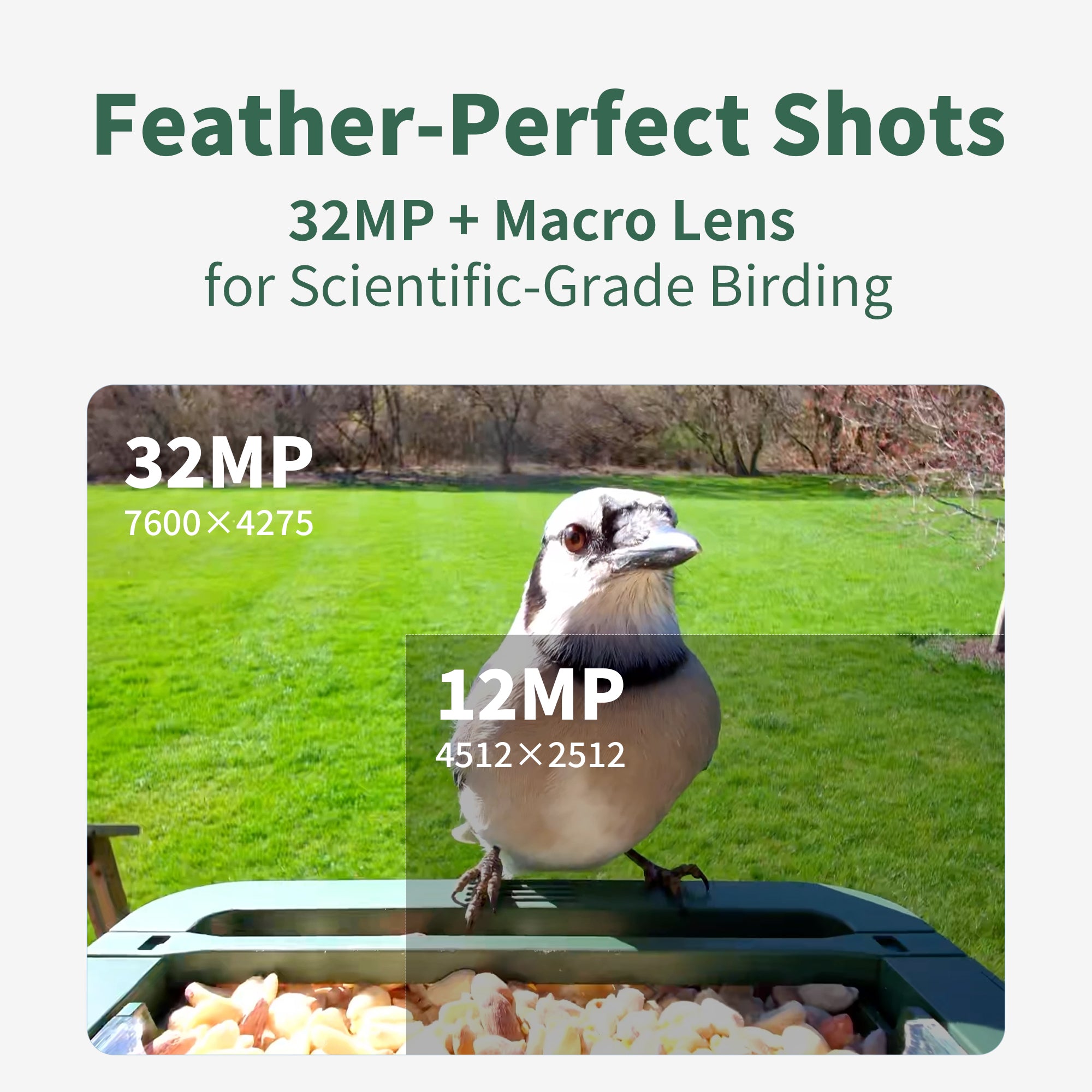 Hibird Smart Bird Feeder with Camera