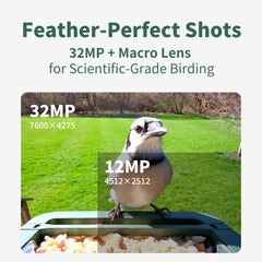 Hibird Smart Bird Feeder with Camera