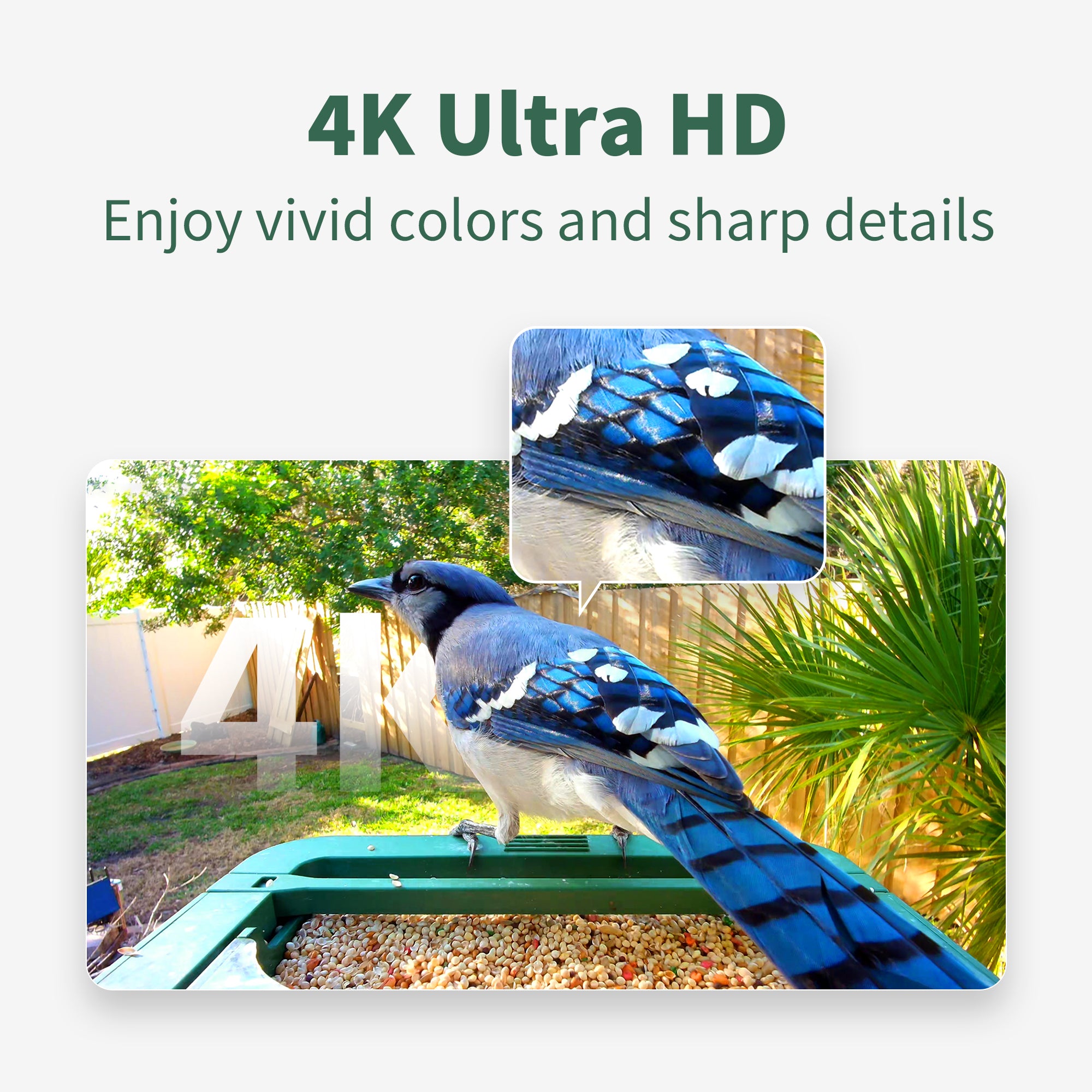 Hibird Smart Bird Feeder with Camera