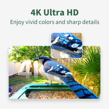 Load image into Gallery viewer, Hibird Smart Bird Feeder with Camera
