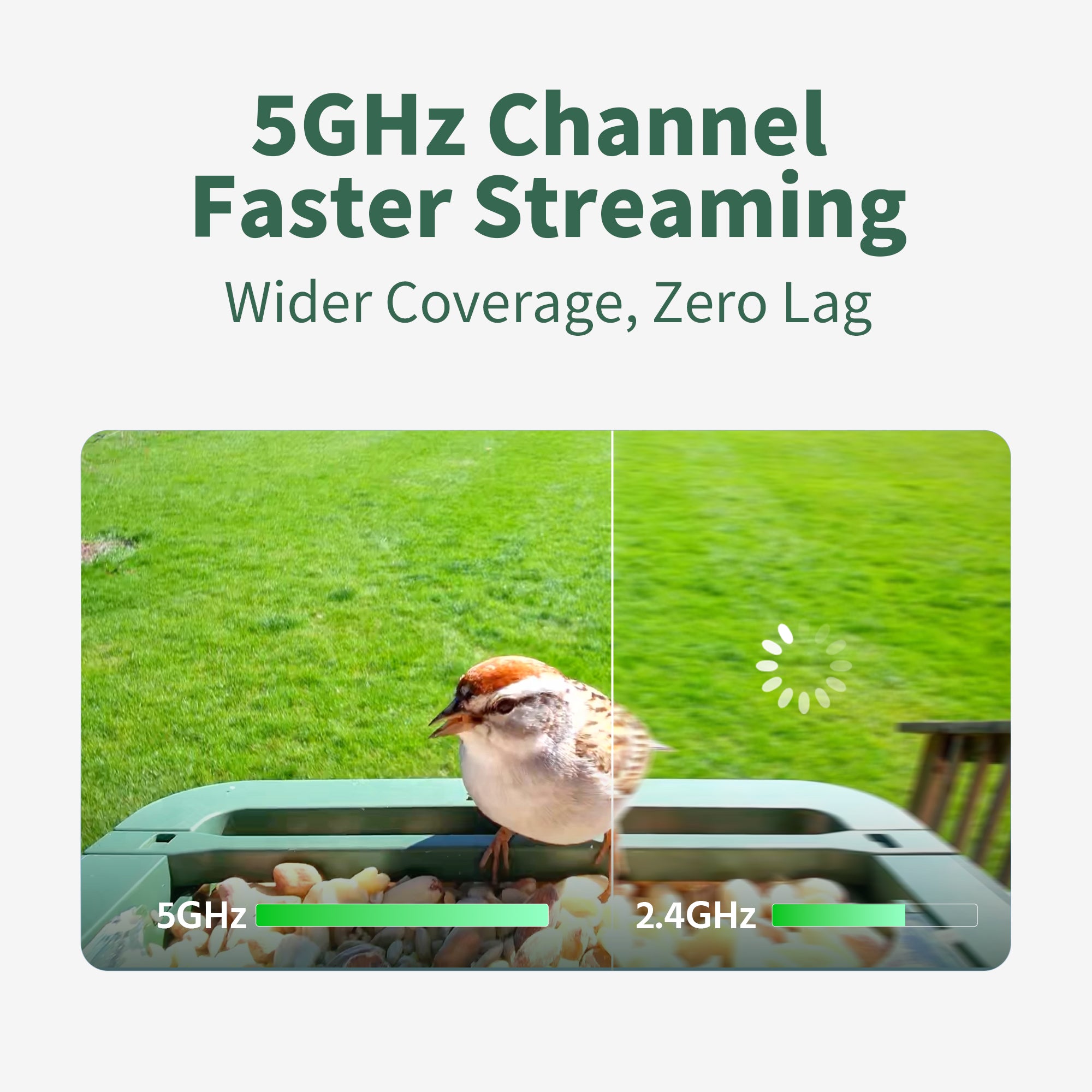 Hibird Smart Bird Feeder with Camera