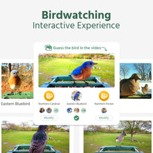 Load image into Gallery viewer, Hibird Smart Bird Feeder with Camera
