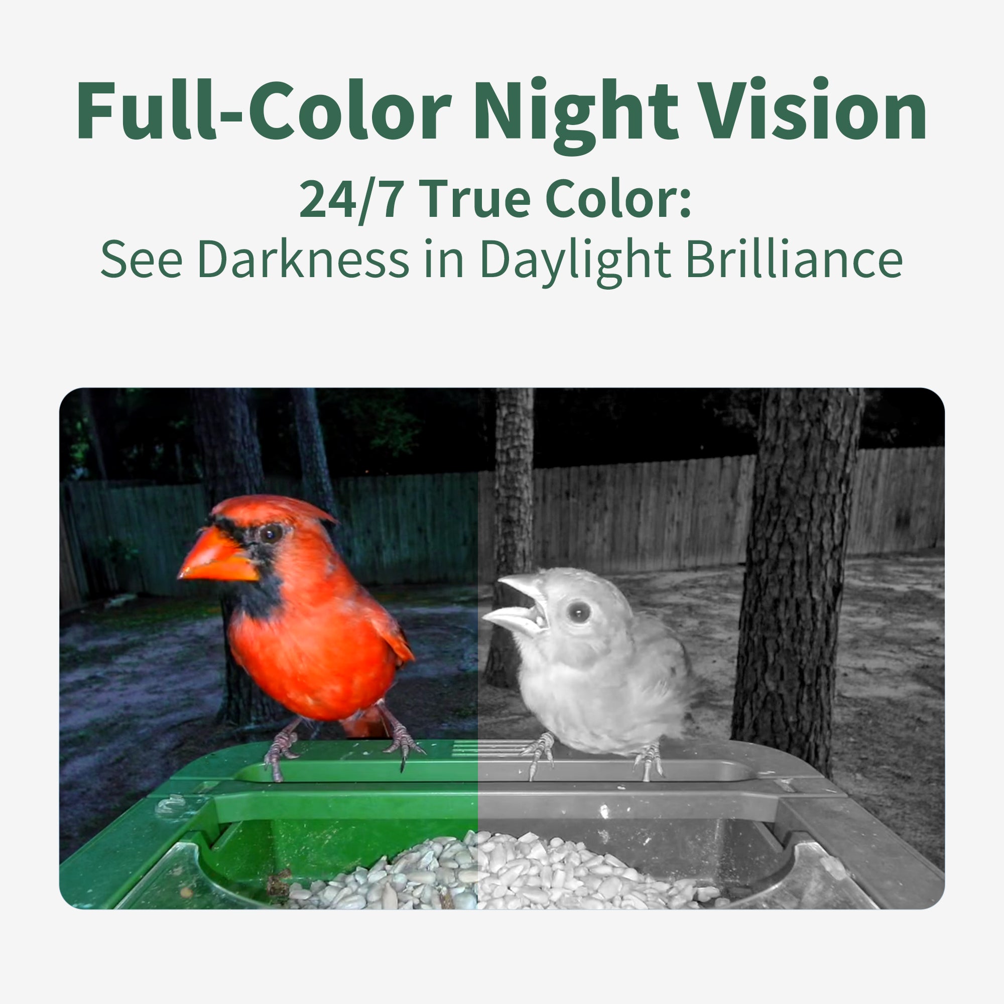 Hibird Smart Bird Feeder with Camera