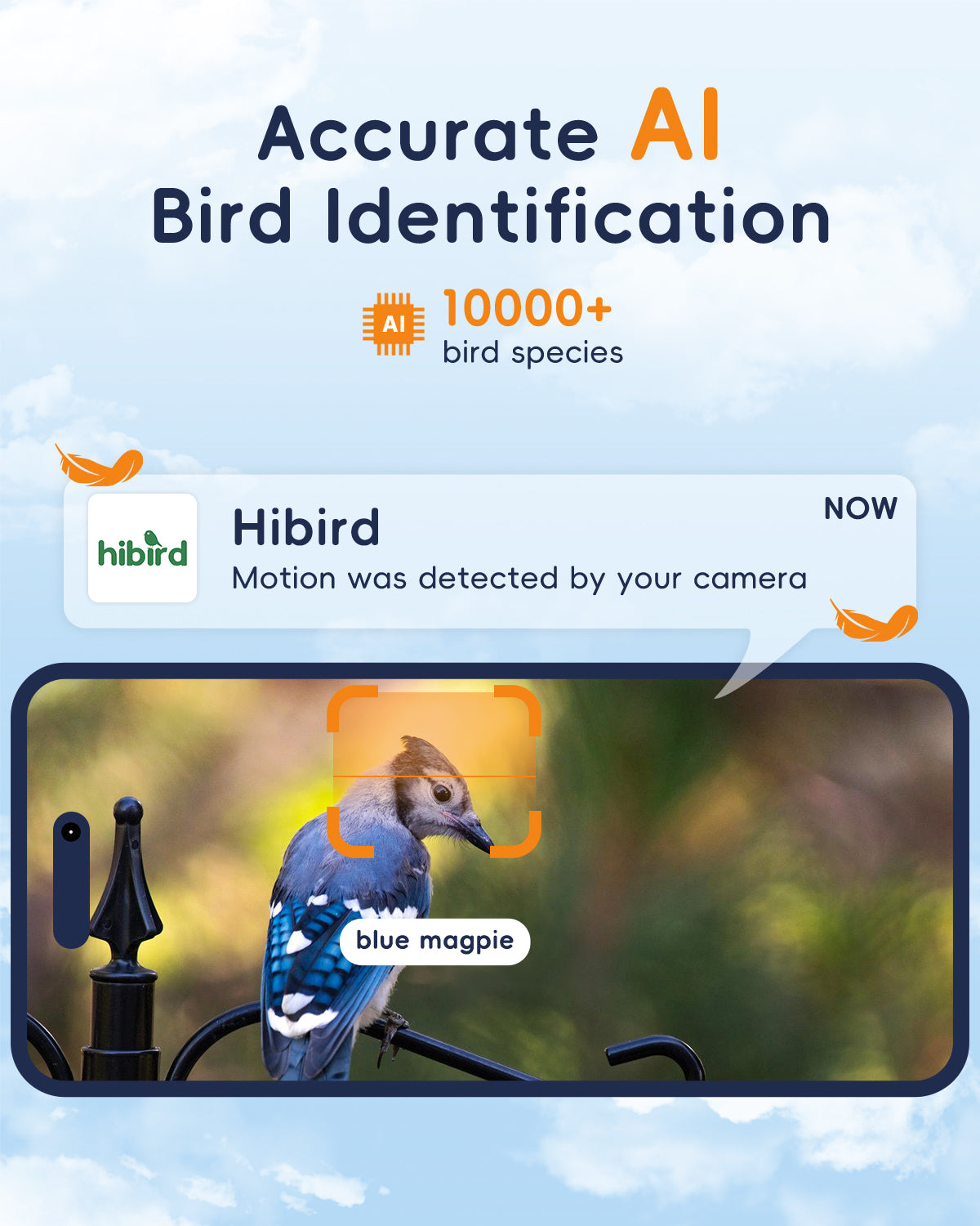 5G Bird Watching Camera, Hibird Smart AI Identify and Auto Capture 10000+ Bird Species IP66 Mini Wireless Watching Camera with Solar Panel, Ideal Gift for Birds Lover