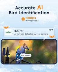 5G Bird Watching Camera, Hibird Smart AI Identify and Auto Capture 10000+ Bird Species IP66 Mini Wireless Watching Camera with Solar Panel, Ideal Gift for Birds Lover
