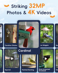 5G Bird Watching Camera, Hibird Smart AI Identify and Auto Capture 10000+ Bird Species IP66 Mini Wireless Watching Camera with Solar Panel, Ideal Gift for Birds Lover